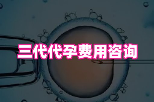 杭州助孕网 1