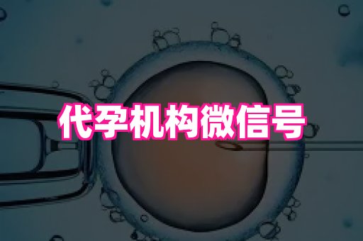 杭州助孕网 1