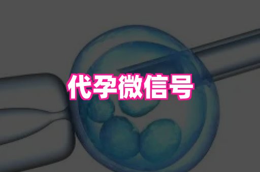 杭州助孕网 3