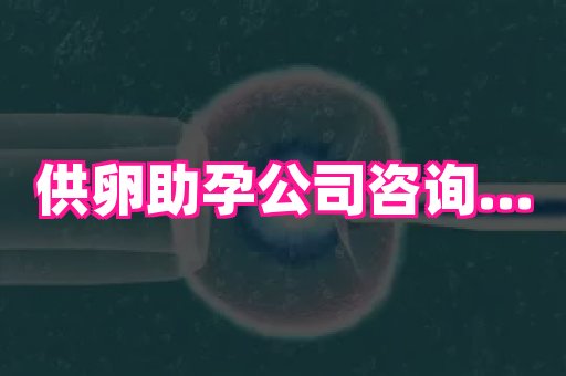 杭州助孕网 4