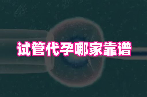杭州助孕网 4